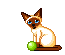 Image Name